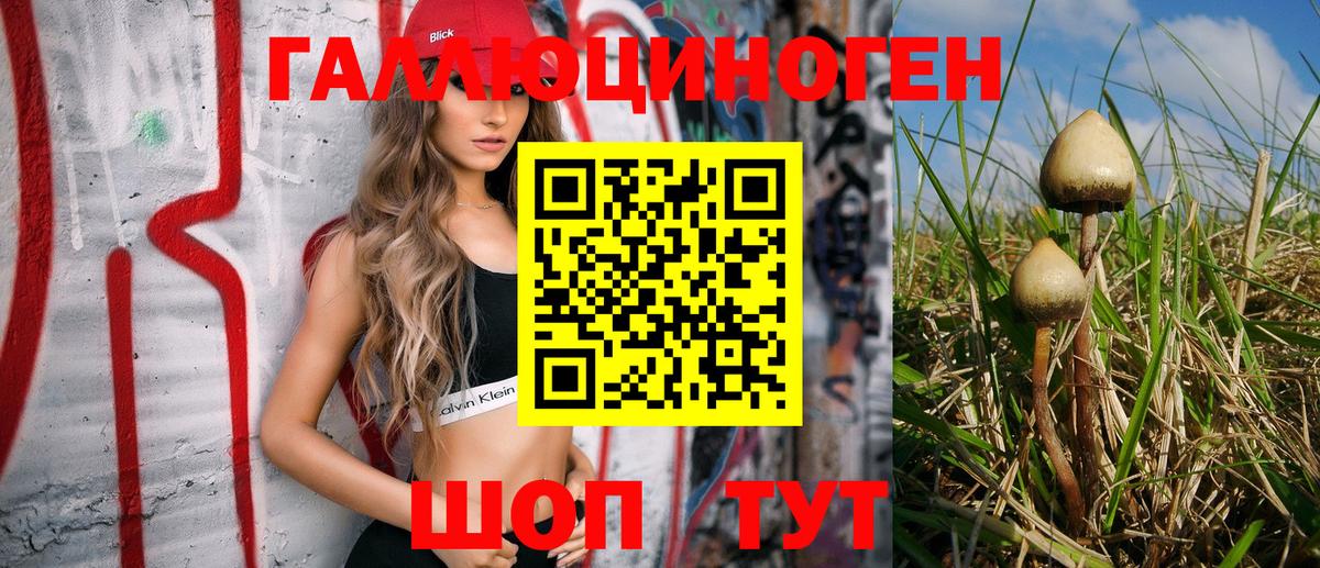 Галлюциногенные грибы GOLDEN TEACHER  наркота  Новоалександровск  Вход с VPN 